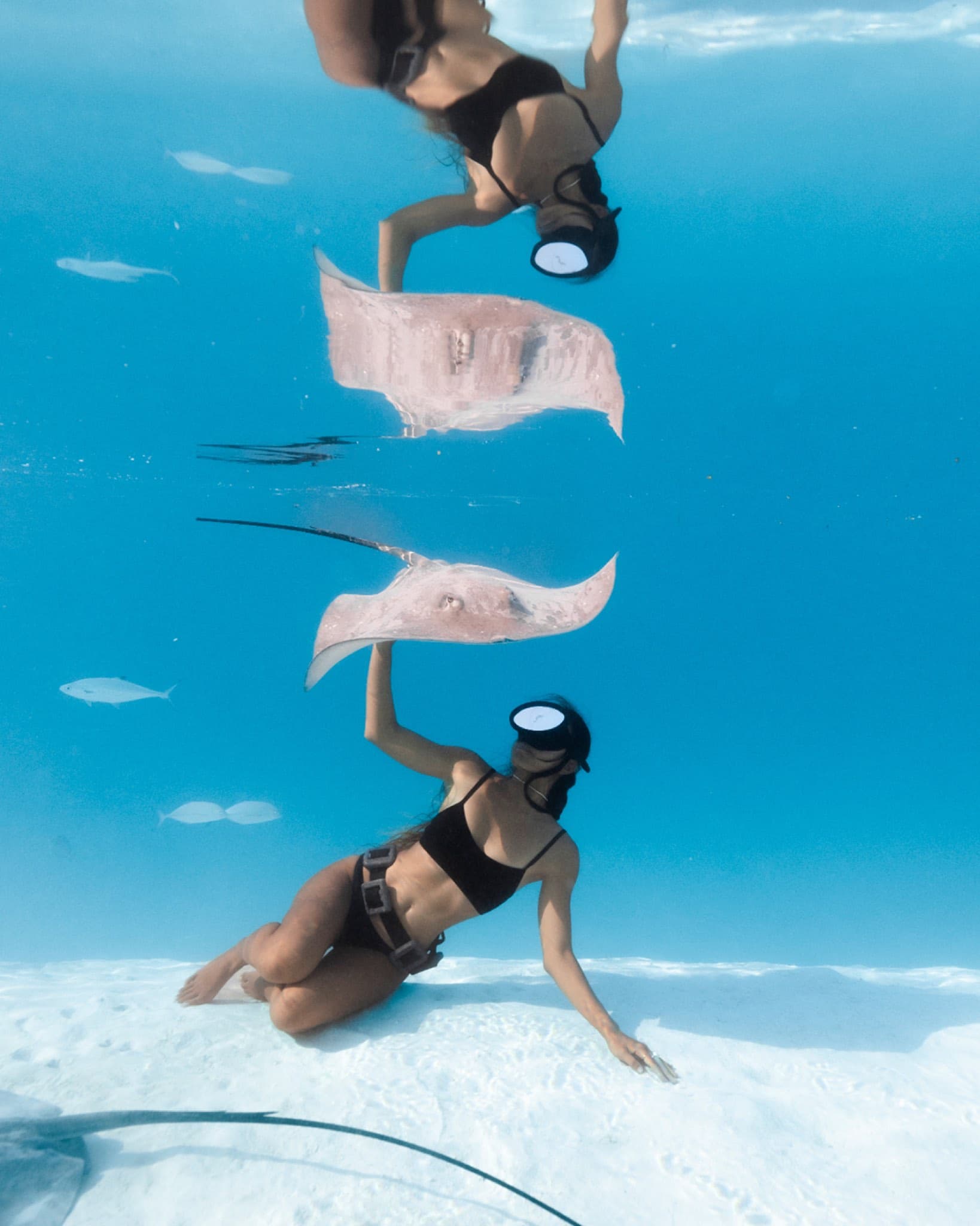 Moorea Escape: Freediver gliding alongside a stingray in the shallow lagoon